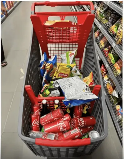 grocery cart with groceries